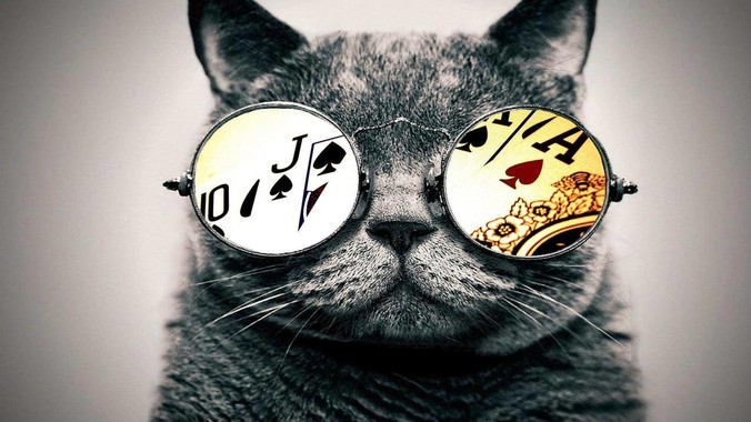 Postgres 和 MySQL 应该怎么选？